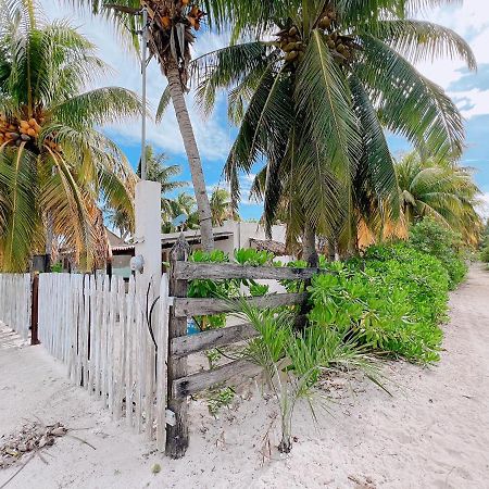 فيلا Coconut Palm House - إل كويو المظهر الخارجي الصورة